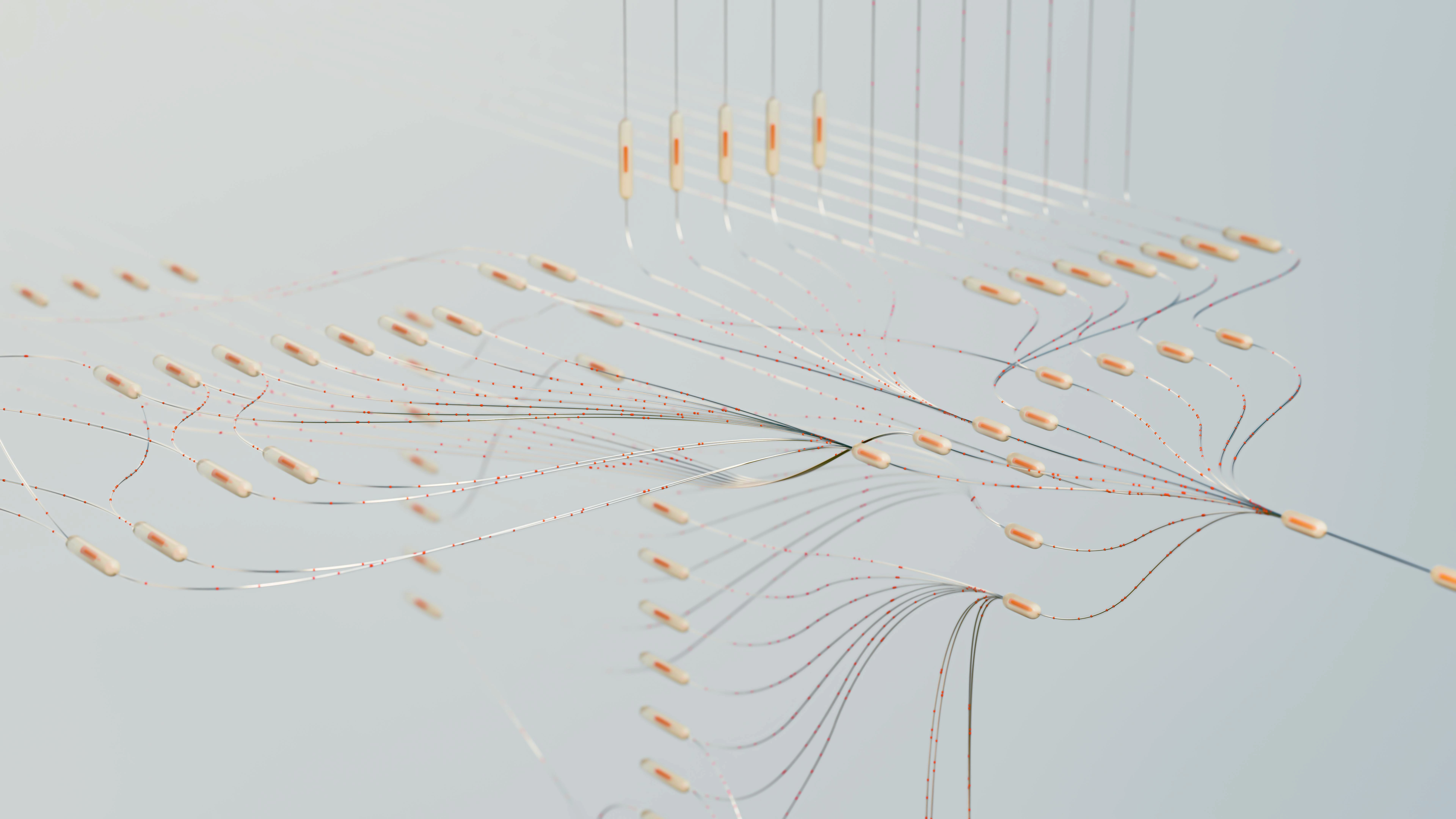 Data and Information Management